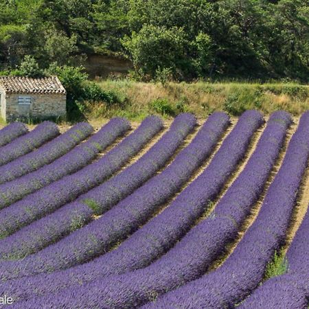 Gite Marius Mirabel-aux-Baronnies Экстерьер фото